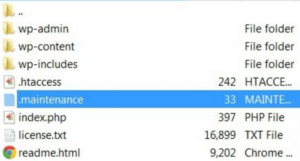 Files .maintenance di File Manager